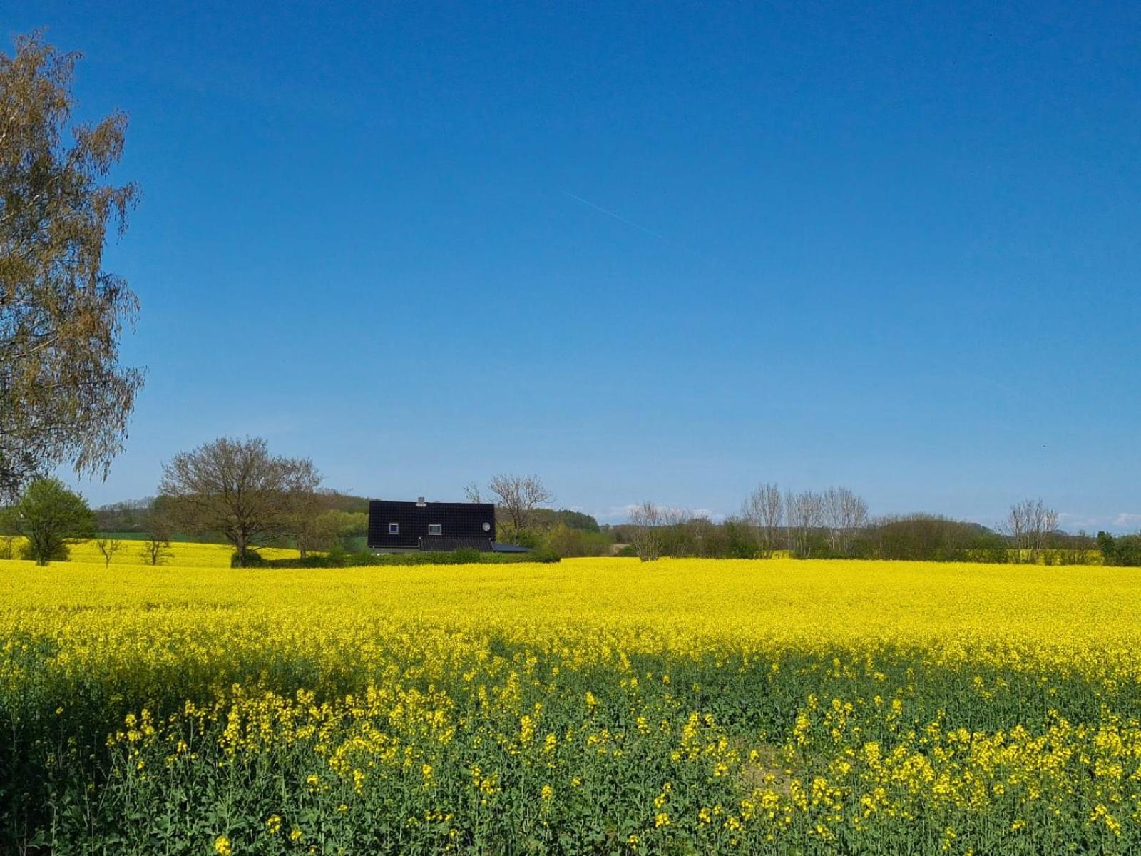 Ferienhaus Loimoos Schnarup-Thumby Bagian luar foto