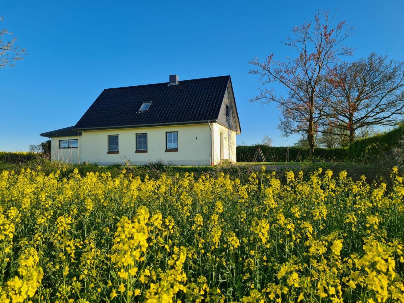 Ferienhaus Loimoos Schnarup-Thumby Bagian luar foto
